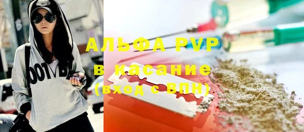 ПСИЛОЦИБИНОВЫЕ ГРИБЫ Верея
