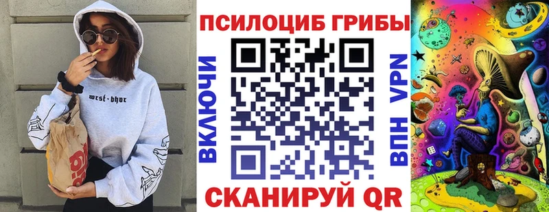 дарнет шоп  Певек  Псилоцибиновые грибы мухоморы 